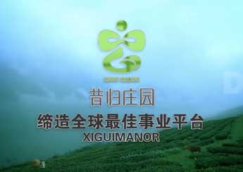 昔归茶叶平台宣传视频